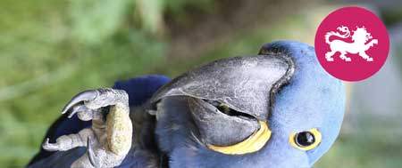 Abbildung: Geschenkverpackung Zoo 01